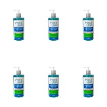 Kit C/06 Proteclean Gel Antisséptico Hidratante 440g