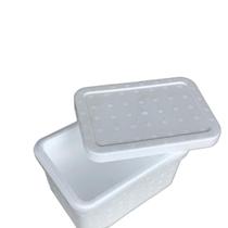 Kit C/10 Caixa Térmica Isopor Sorvete Doces 20,5X12,5Cm Kit C/10 Caixa Térmica Isopor Sorvete Doces 20,5X12,5Cm