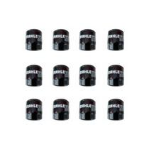 Kit C/ 12 Filtro Óleo Hornet Shadow Ninja Metal Leve Oc1019 Kit C/ 12 Filtro Óleo Hornet Shadow Ninja Metal Leve Oc1019