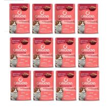 KIT C/ 12 Sachê Origens para Gatos Adultos e Filhotes Sabor Carne ao Molho - 85g CADA