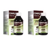 Kit C/2 Complexo B Solução 100Ml - Arte Nativa