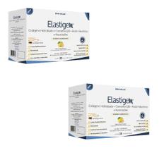 Kit c/ 2 Elastigen c/ 30 Sachês de 4g Sabor Limão Siciliano (Colágeno, Hialurônico)