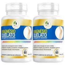 KIT C/2 Magnesio Quelato 500mg 60cps Puro Concentrado Fits