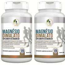 KIT C/2 Suplemento Magnésio Malato 120 Cápsulas - Fits Life KIT C/2 Suplemento Magnésio Malato 120 Cápsulas - Fits Life