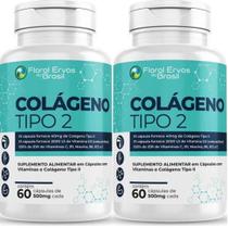 KIT C/2 Un. Colágeno Tipo 2 UC II 40mg 60 Capsulas Floral Ervas