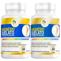 KIT C/2 Un Magnésio Quelato Mg Puro Premium 260mg 60 Cápsulas - Fits Life