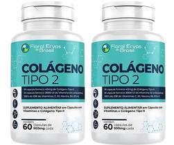 KIT C/2 Un. Suplemen to Coláge no Tipo 2 UC II 40mg Concentrado 60 Caps + Vitaminas C E D3 B1 B3 B6 B12 - Floral Ervas