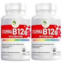 KIT C/2 Vitamina B12 Metilcobalamina 60 cápsulas - Fits Life KIT C/2 Vitamina B12 Metilcobalamina 60 cápsulas - Fits Life