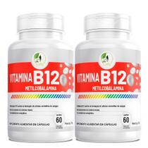 Kit C/2 Vitamina B12 Metilcobalamina Fits Life 60Cáps Sem sabor Kit C/2 Vitamina B12 Metilcobalamina Fits Life 60Cáps Sem sabor