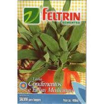 Kit c/ 20PT Semente Tempero Endro Ou Aneto 607 - Feltrin