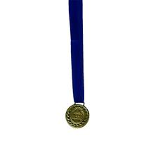 Kit C/23 Medalhas de Ouro M30 Honra ao Mérito C/Fita Azul - Crespar