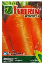 Kit c/ 25PT Semente Cenoura Verão Brasilia Irece 716 - Feltrin Kit c/ 25PT Semente Cenoura Verão Brasilia Irece 716 - Feltrin