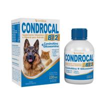 Kit C/2un Suplemento Vitamínico Condrocal B12 120ml Vetbras Kit C/2un Suplemento Vitamínico Condrocal B12 120ml Vetbras