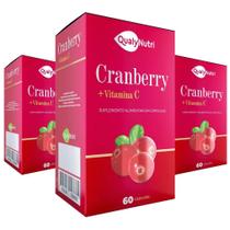 Kit C/3 Cranberry + Vitamina C 500Mg C/60 - Qualy Nutri