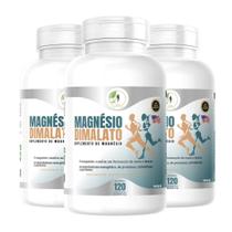 Kit C/3 Magnésio Dimalato 120 Capsulas - Fits Life