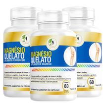 Kit C/3 Magnesio Quelato 500mg 60cps Puro Concentrado Fits