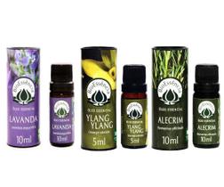 Kit C/3 Óleo Essencial Lavanda, Ylang Ylang e Alecrim Bioessência
