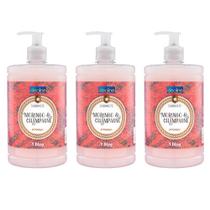 Kit c/3 Sabonete Líquido 1Lt Premisse Morango com Champagne