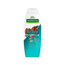 Kit c/ 3 Shampoo Palmolive Naturals Cuidado Absoluto 350ml