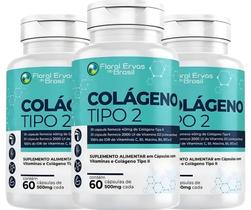 KIT C/3 Un. Suplemento Colágeno Tipo 2 UC II 40mg Concentrado 60 Caps + Vitaminas C E D3 B1 B3 B6 B12 - Floral Ervas