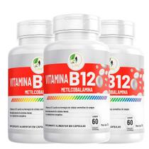 Kit C/3 Vitamina B12 Metilcobalamina Fits Life 60Cáps