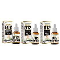 Kit C/ 3 Vitamina B12 Uva 20ml - Metilcobalamina 9,94 mcg por gota - Flora Nativa