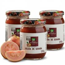 Kit c/ 3und Geleia de Goiaba Tradicional SÃO LOURENÇO 210g Kit c/ 3und Geleia de Goiaba Tradicional SÃO LOURENÇO 210g