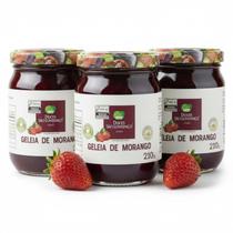 Kit c/ 3und Geleia de Morango Tradicional São Lourenço 210g Kit c/ 3und Geleia de Morango Tradicional São Lourenço 210g