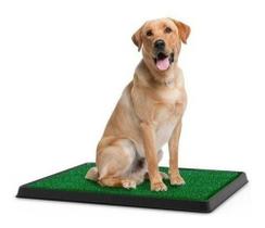 Kit C/ 3x Refil De Grama Sintética Para Sanitário Animal Pet