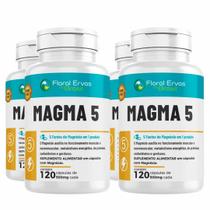 Kit C/4 Magma 5 (5 magnésio em 1) Floral ervas - 120 Cáps