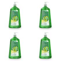 Kit c/4 Sabonetes Líquido Biofleur 1L Hid. Erva Doce