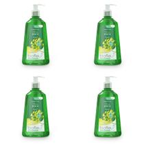 Kit c/4 Sabonetes Líquido Biofleur Erva Doce 500ml cada