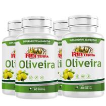 KIT C/4 Un. Suplemento Extrato de Oliveira 120 Cápsulas 500mg - Rei Terra