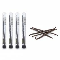 Kit c/ 4und Tubo de Fava de Baunilha Bourbon 2g (Madagascar)
