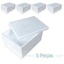 Kit C/5 Caixa termica Isopor Pequena Sorvete Doces 15x8cm