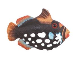 Kit c/ 5 puxadores para móveis Infantis 26110 Peixe - BSKF Kit c/ 5 puxadores para móveis Infantis 26110 Peixe - BSKF