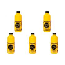 Kit C/5 - Removedor Neutralizador Convertedor. De Ferruge...