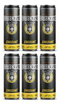 Kit C/6 Cerveja Eisenbahn Unfiltered La 350ml Kit C/6 Cerveja Eisenbahn Unfiltered La 350ml