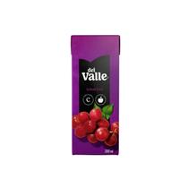 Kit c/ 6 Nectar de Uva Del Valle 200ml