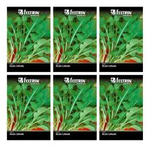 Kit C/6 Semente De Hortaliça Rúcula Cultivada 1g Feltrin Kit C/6 Semente De Hortaliça Rúcula Cultivada 1g Feltrin