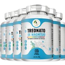 KIT C/6 Treonato de Magnésio 120 Cáps - Fits Life