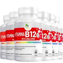 Kit C/6 Vitamina B12 Metilcobalamina 60 cápsulas - Fits Life
