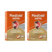 Kit C2 Flexigold Artri C60 Herbamed Saúde Articular