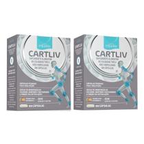 Kit C2 Suplemento Cartiliv Colágeno II C60 Equaliv