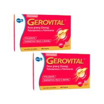 Kit C2 Suplemento Gerovital Vitalizante - EMS