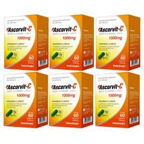 Kit C6 Suplemento Alimentar Ascorvit C C60 caps Maxinutri