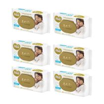 Kit C6 Toalhas Umedecidas Love e Care Premium C100 Mili