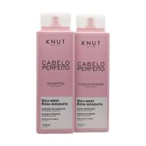 Kit cabelo perfeito (shampoo 750ml + condicionador 550ml) - KNUT Hair Care