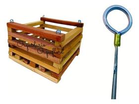 Kit Cachepô Cachepot Tamanho M Com Haste Arame Galvanizado Para Orquídeas Flores Plantas