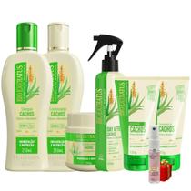 Kit Cachos Completo 250ml 6 itens Bio Extratus + Presente Lourre 15ml
